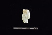 藏品(玉料)的圖片