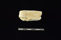 藏品(石材)的圖片