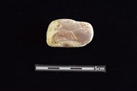 藏品(石材)的圖片