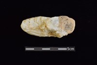 藏品(石材)的圖片