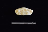 藏品(石材)的圖片