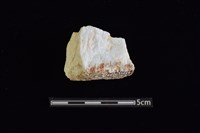 藏品(石材)的圖片