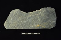 藏品(石材)的圖片