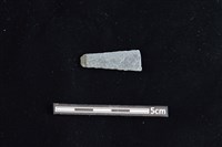 藏品(石材)的圖片