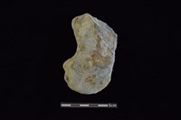 藏品(石器殘件)的圖片