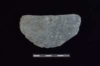 藏品(石圓片)的圖片