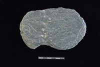 藏品(石器殘件)的圖片