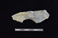 藏品(穿孔石板)的圖片