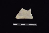 藏品(石鋸)的圖片