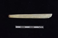 藏品(尖狀器)的圖片