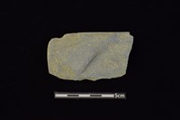 藏品(石鐮)的圖片