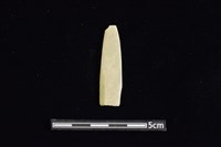 藏品(矛鏃形器)的圖片