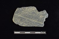 藏品(石材)的圖片