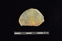 藏品(石圓片)的圖片