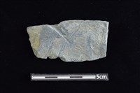 藏品(石材)的圖片