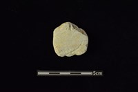 藏品(玉料)的圖片