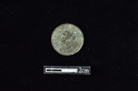 藏品(錢幣)的圖片