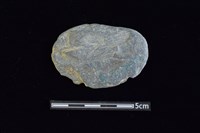 藏品(網墜)的圖片