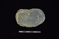 藏品(石器殘件)的圖片