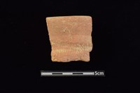 藏品(陶罐)的圖片