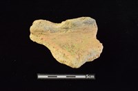 藏品(陶罐)的圖片