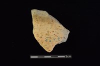 藏品(陶罐)的圖片