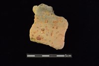 藏品(陶罐)的圖片