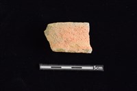 藏品(陶罐)的圖片