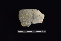 藏品(陶罐)的圖片