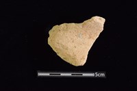 藏品(陶罐)的圖片