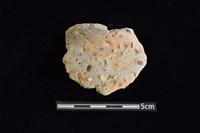 藏品(陶罐)的圖片