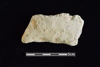 藏品(陶罐)的圖片