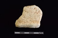 藏品(陶罐)的圖片