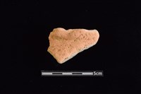 藏品(陶罐)的圖片