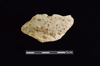 藏品(陶罐)的圖片