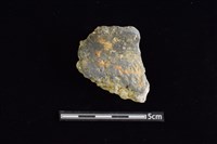 藏品(陶罐)的圖片