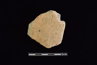 藏品(陶片)的圖片