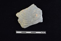 藏品(陶片)的圖片