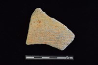 藏品(陶片)的圖片