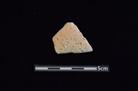 藏品(陶片)的圖片