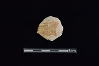 藏品(陶片)的圖片