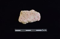 藏品(陶罐)的圖片