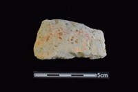 藏品(陶罐)的圖片