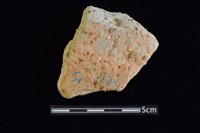 藏品(陶片)的圖片