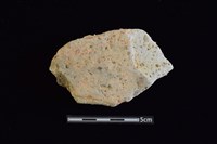 藏品(陶片)的圖片