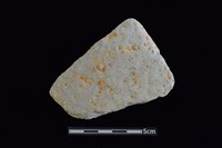 藏品(陶片)的圖片