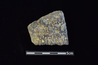 藏品(陶片)的圖片