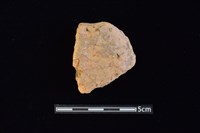 藏品(陶片)的圖片