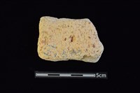 藏品(陶片)的圖片