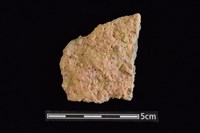 藏品(陶片)的圖片